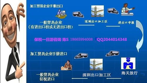 进口清关全攻略 深圳、东莞、惠州必备资料与国内贸易代理解析